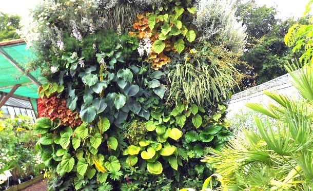 How to Build Your Own Living Wall or Vertical Garden